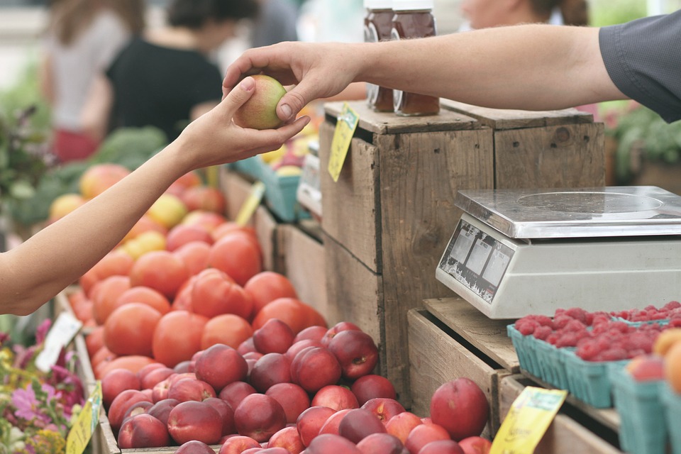 Supply of fruits by vendor